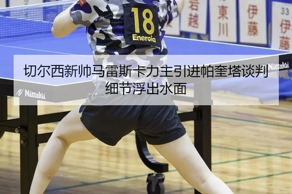 qie-er-xi-xin-shuai-ma-lei-si-ka-li-zhu-yin-jin-pa-kui-ta-tan-pan-xi-jie-fu-chu-shui-mian-3-339.jpg